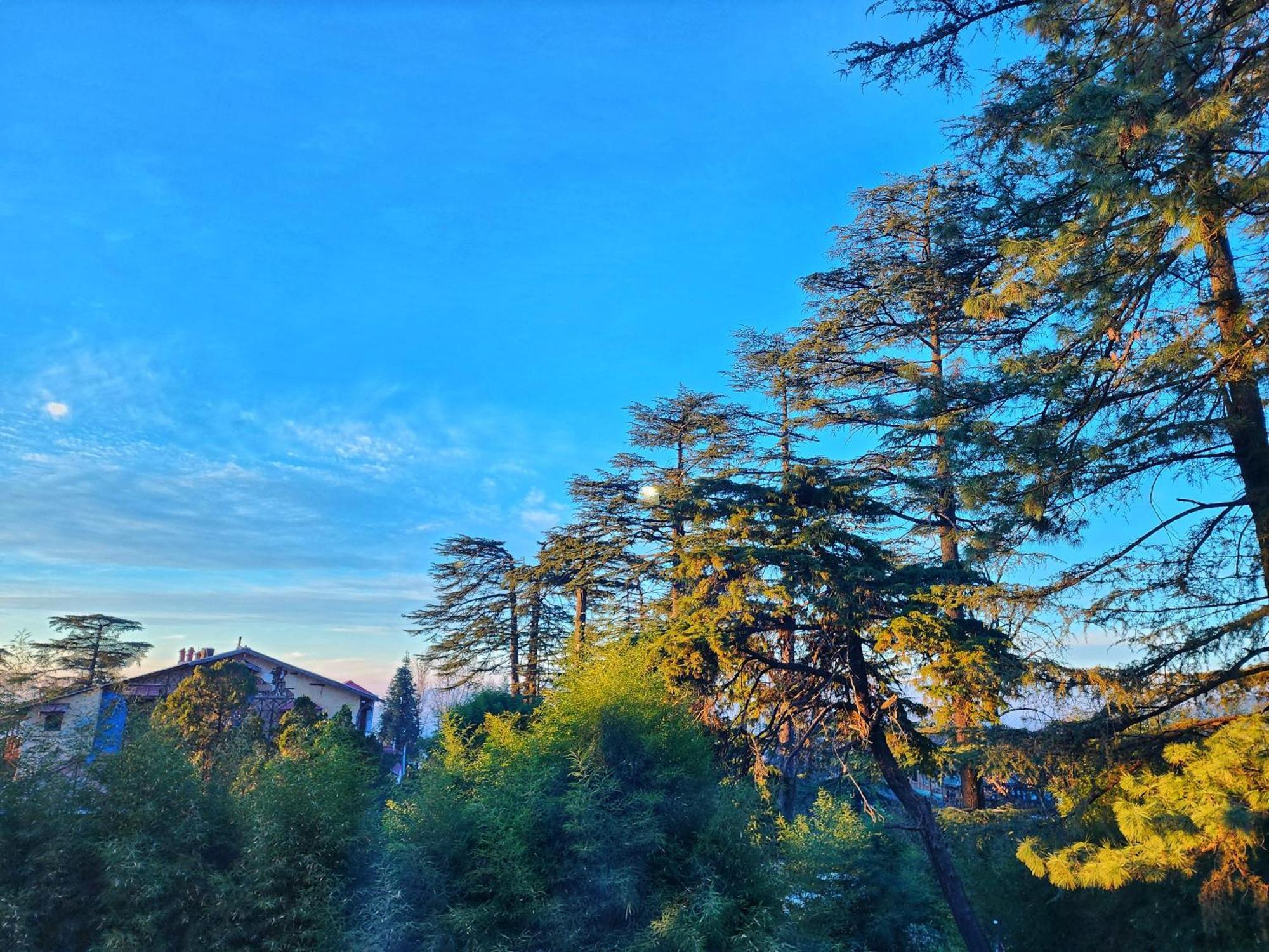 Hotel Pineview Shimla Ngoại thất bức ảnh