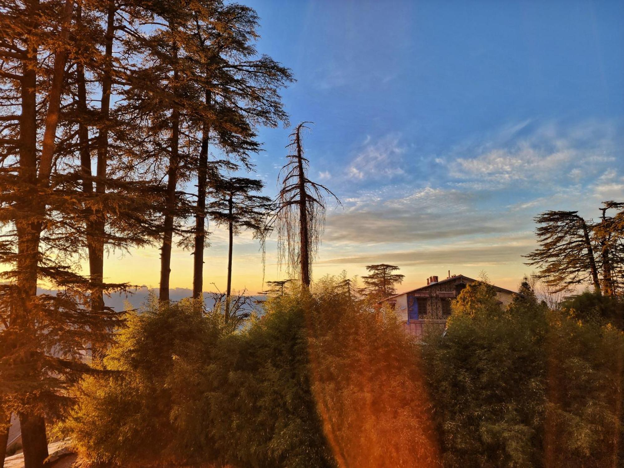 Hotel Pineview Shimla Ngoại thất bức ảnh