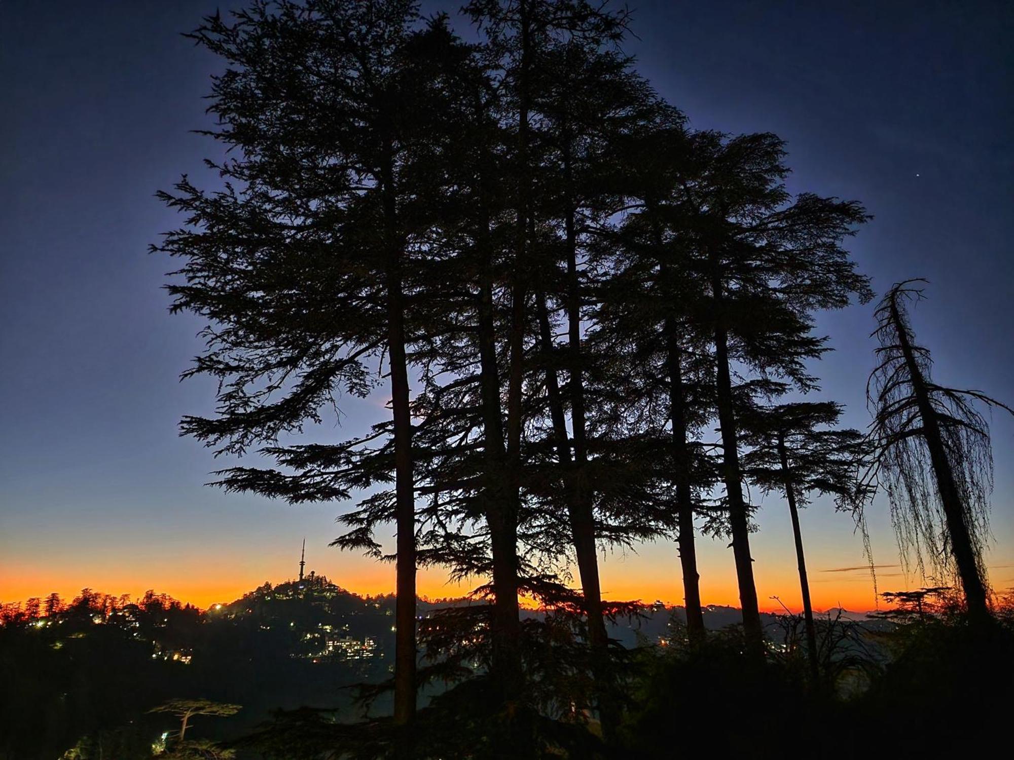 Hotel Pineview Shimla Ngoại thất bức ảnh
