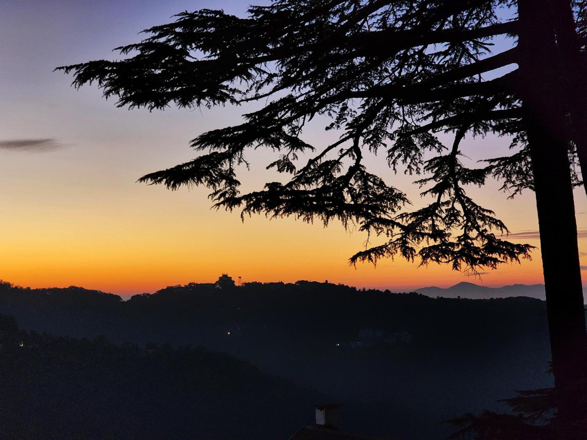 Hotel Pineview Shimla Ngoại thất bức ảnh