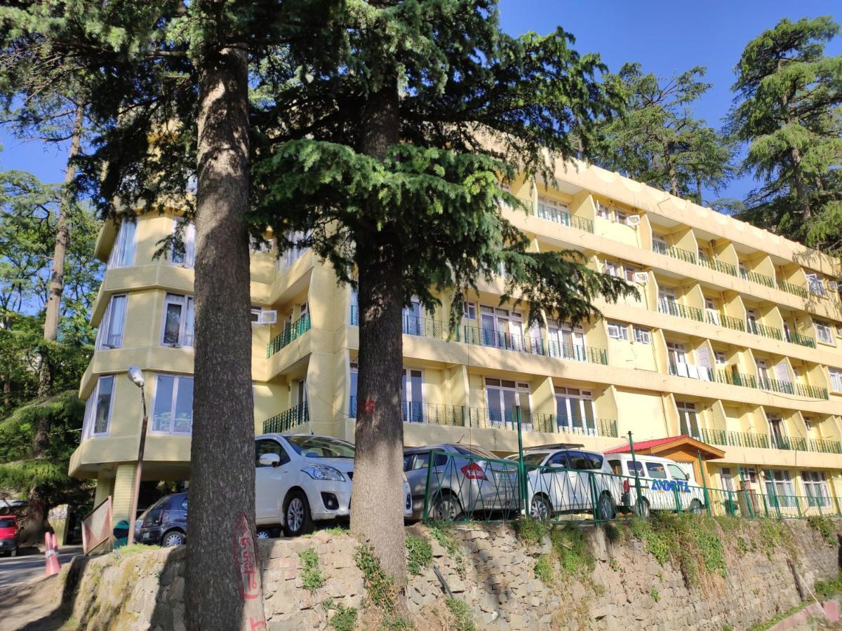 Hotel Pineview Shimla Ngoại thất bức ảnh